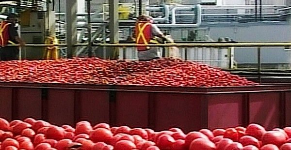 Heinz-Leamington-Highbury-Canco-food-processing-tomatoes-ketchup-Windsor-Chrysler-labour-union-Unifor-government-EDIWeekly