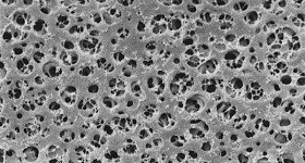 cellulose-fiber-supercapacitor-energy-storage-methane-OSU-polymer-EDIWeekly