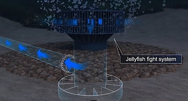 jellyfish-intake-desalination-Saudi-Arabia-solar-power-photovoltaics-EDIWeekly