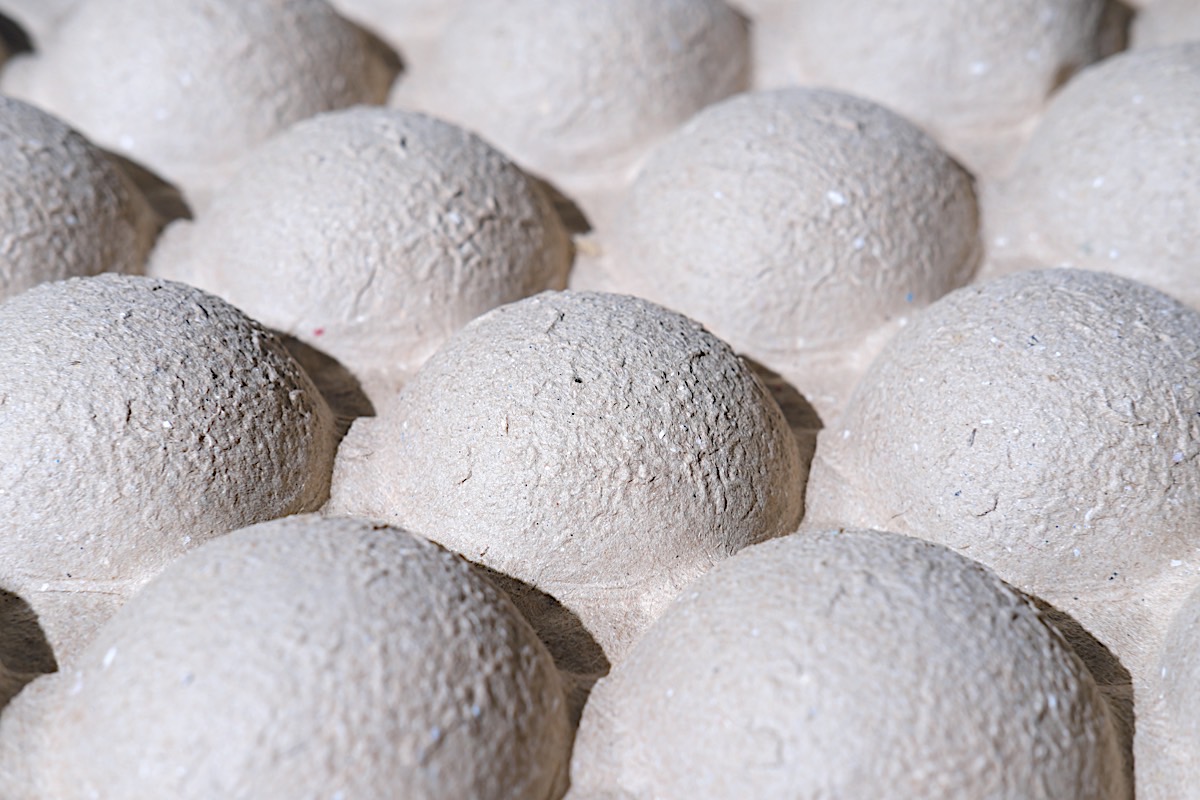 Sustainable Materials and Circular Design: Industry Overview 2025