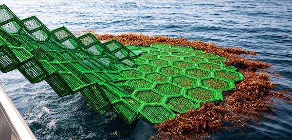 Origami Inspired Sear Farming Solution.