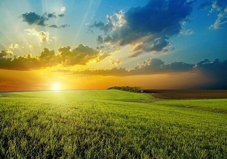 food-agribusiness-family-farm-local-food-act-Ontario-EDIWeekly sunset over green field